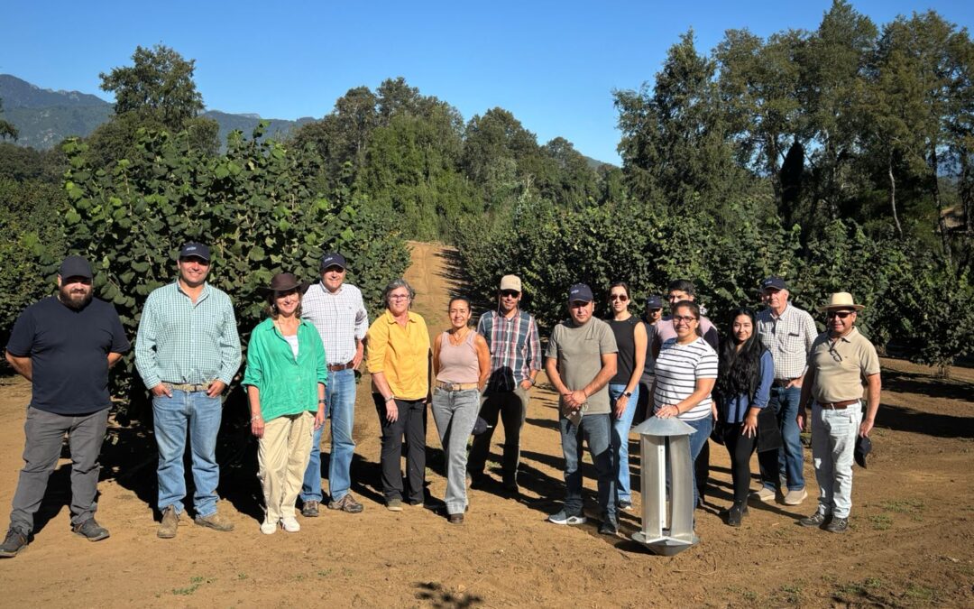 Día de Campo: Aprender y compartir desde la experiencia