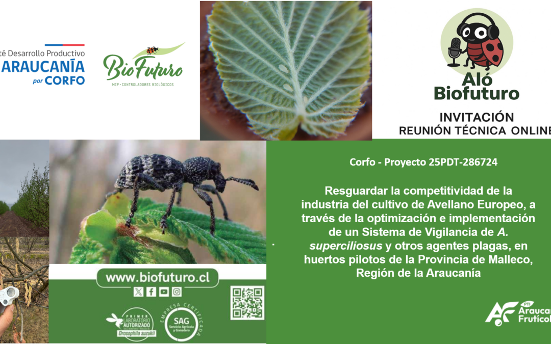 Aló Biofuturo: Conversaciones para aprender desde el territorio