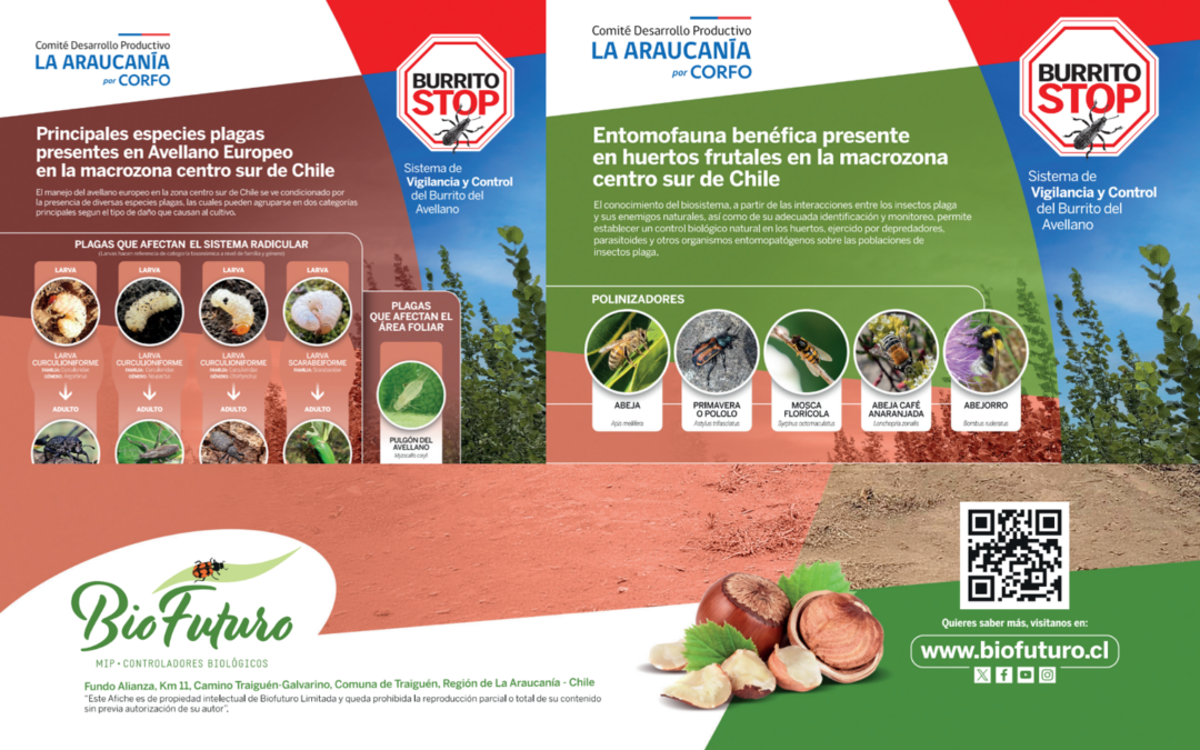 Del terreno a las manos de los productores: Conocimiento que permanece en el campo