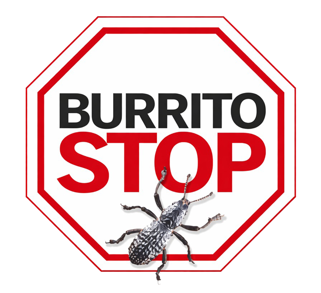 burritostop